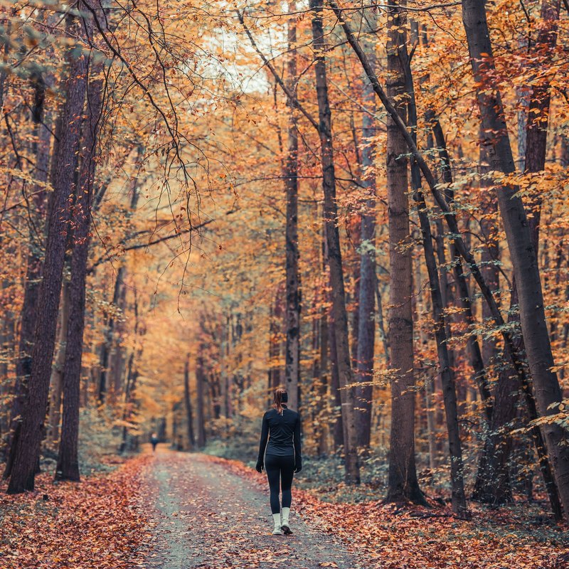 Woman walking along a leaf-covered path beneath autumn trees