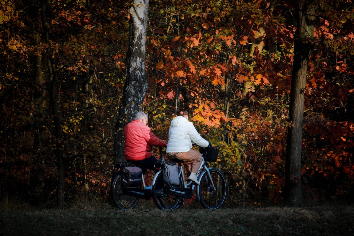 Older couple riding bicycles along a forest path in autumn