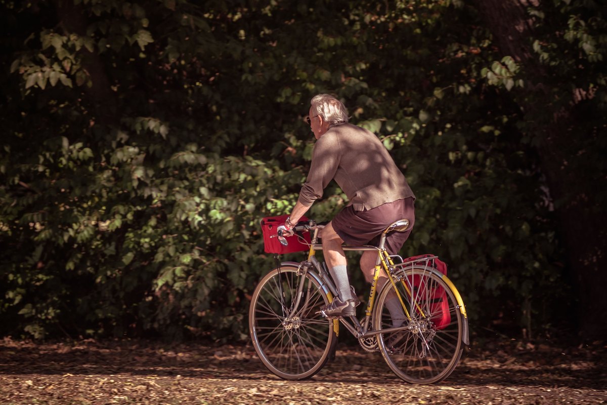 Gray-haired man riding a yellow touring bicycle along a forest path