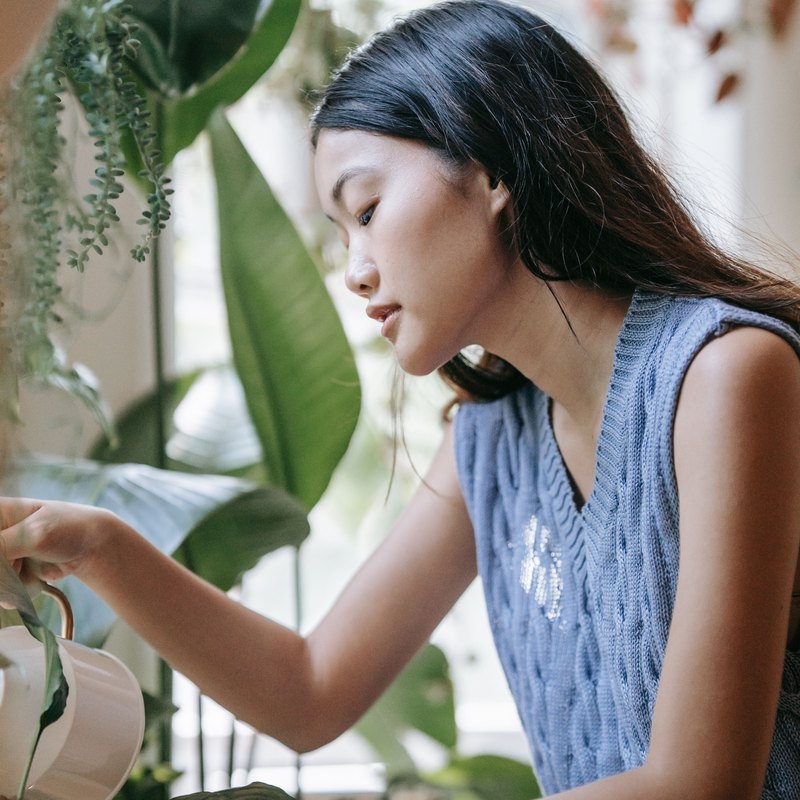 Woman watering leafy houseplants by a bright window